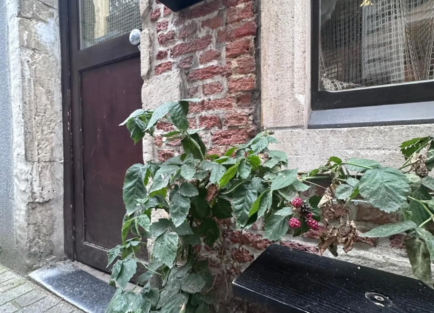 Bed And Coffe Cl Bed & Breakfast Antwerp